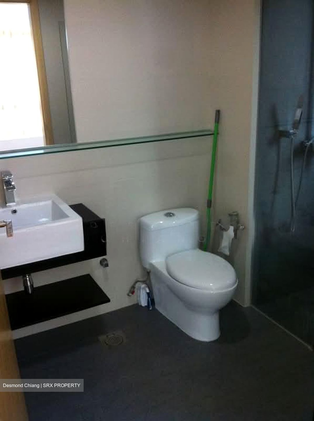 The Amarelle (D15), Apartment #585501241
